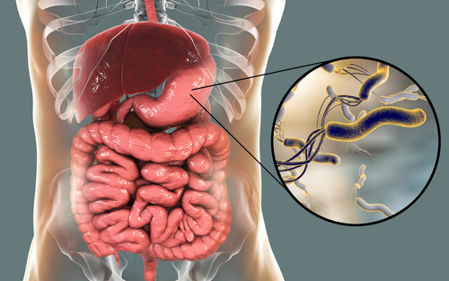 Latest company news about Helicobacter pylori: odkrywanie ukrytego sprawcy choroby żołądka