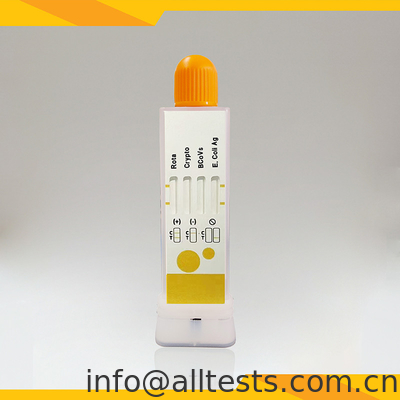 Good price Rotavirus Cryptosporidia Coronavirus E. Coli Antigen Combo Rapid Test Próbka kału w Internecie