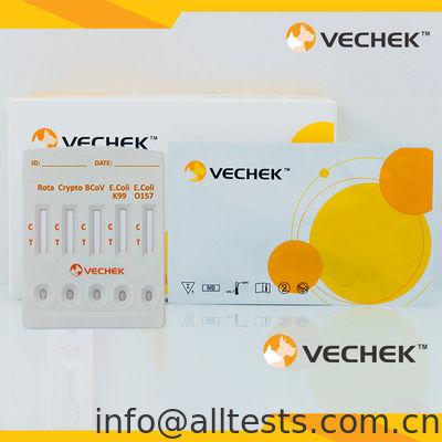 Dobra cena. Rotavirus+Cryptosporidia+Coronavirus+E. Coli K99 +E. Coli O157 Antigen Combo Rapid Test Cassette (Feces) w Internecie