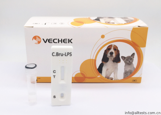 Good price C Bru - Zestaw szybkich testów kasety przeciwciał Lps Osiągnięto wskaźnik dokładności 98% w Internecie
