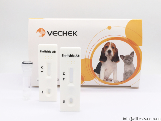 Good price Ehrlichia Canis Przeciwciała Szybki test kasetowy, szybki test krwi Łatwy w użyciu w Internecie
