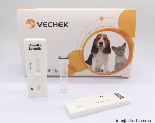 Good price Dokładne zestawy szybkich testów antygenu Giardia oparte na formacie Sandwich w Internecie