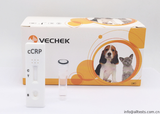 Good price Kasetowe zestawy szybkich testów diagnostycznych Dokładność Test CRP u psów w Internecie