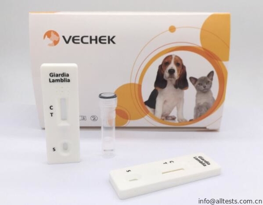 Good price Wygodna kaseta szybkiego zestawu diagnostycznego dla psów Giardia Lamblia Prosta i szybka w Internecie