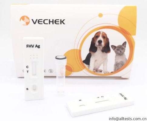 Good price Niezwykłe zestawy szybkich testów Koci FHV Szybki antygen Szybki test z wysoką dokładnością w Internecie