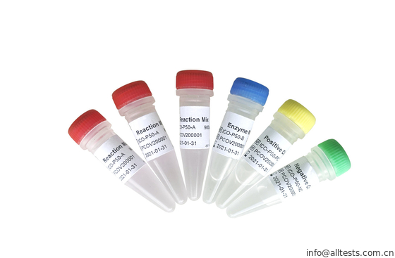 Good price Test Allchek SARS-COV-2 Rt Qpcr w czasie rzeczywistym w Internecie